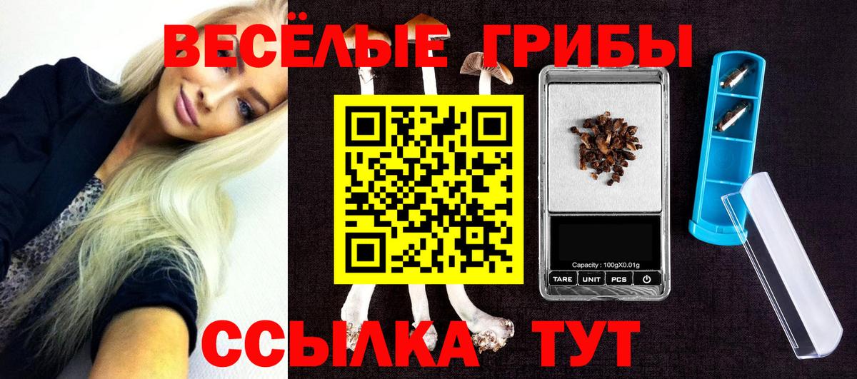 Рязань  Галлюциногенные грибы прущие грибы  Вход с VPN 