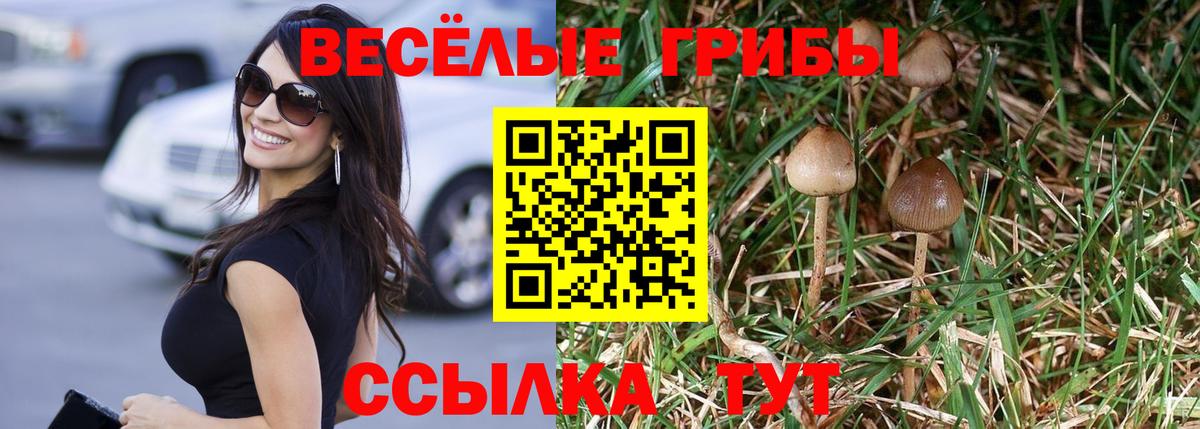 Галлюциногенные грибы GOLDEN TEACHER Рязань